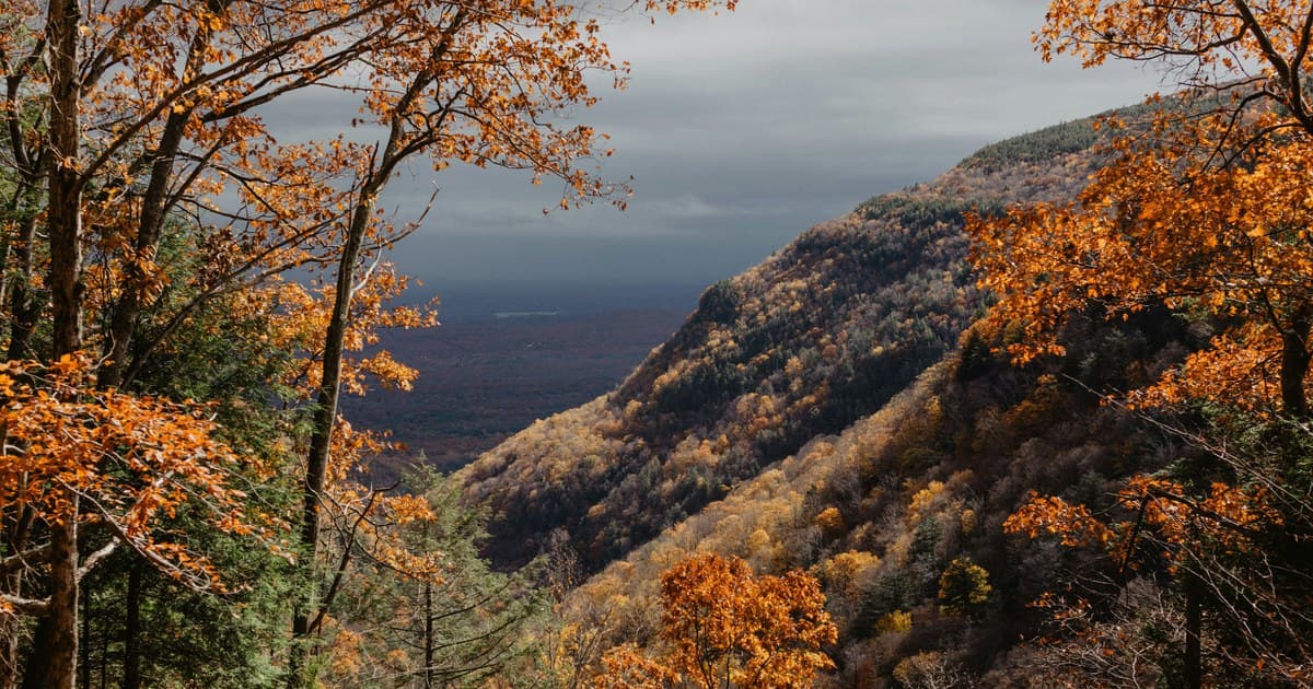 The Cannabis Beverage Boom: Why THC Drinks Are Disrupting the Alcohol Market