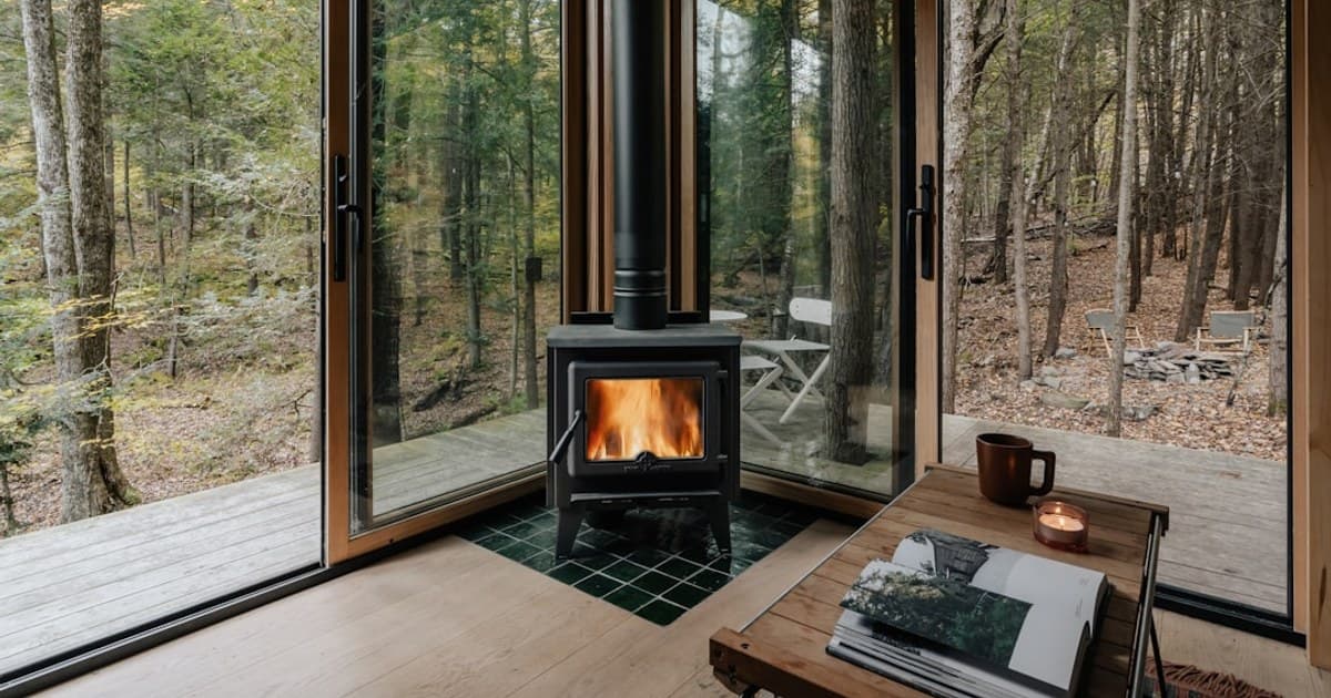 How to Grow Cannabis at Home: A Beginner's Step-by-Step Guide