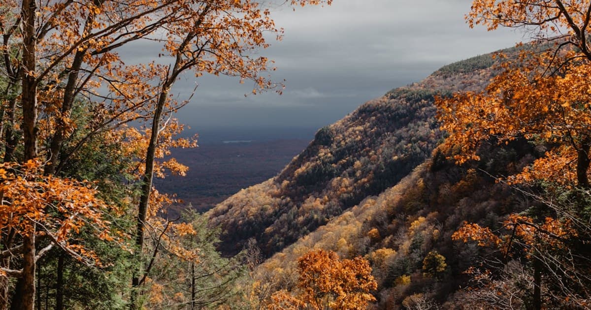 Cannabis as an Alcohol Alternative: A Growing Lifestyle Shift