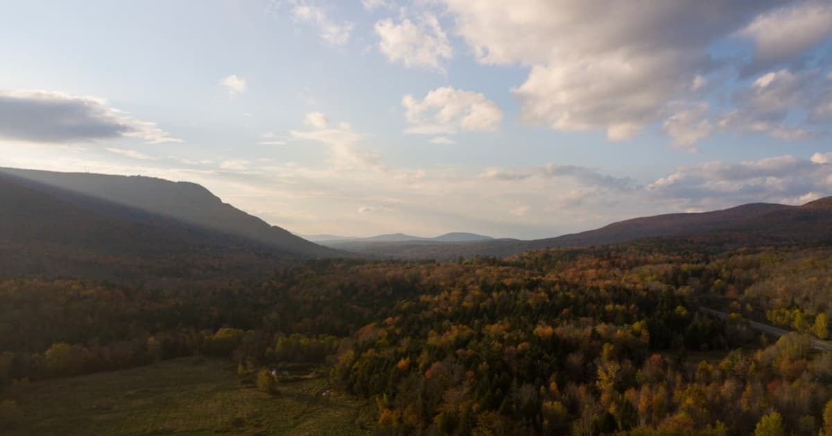 Delta-8 THC vs. Delta-9 THC: Legal Status, Effects, and Safety