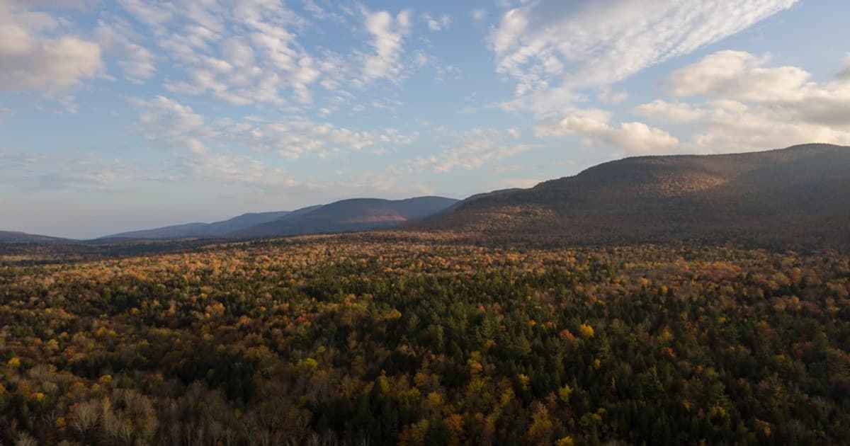 Medical Cannabis 101: Qualifying Conditions, Access, and What to Expect