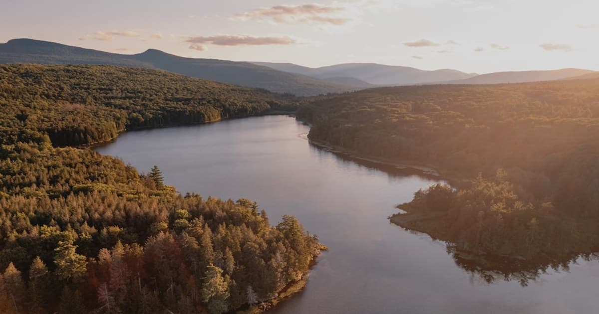 What Are Cannabinoids? A Deep Dive into THC, CBD, CBN, CBG, and More