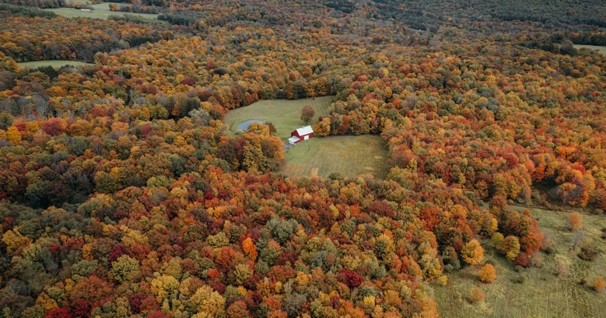 Cannabis and Mental Health: Benefits, Risks, and What We Know