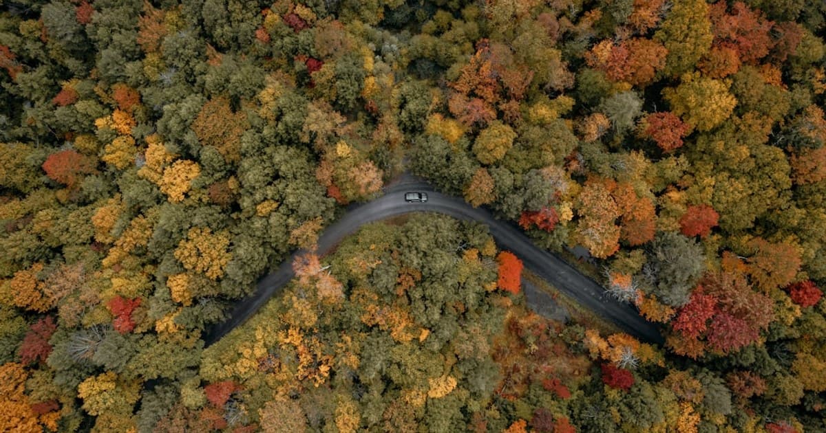 Cannabis for Chronic Pain: What the Science Says