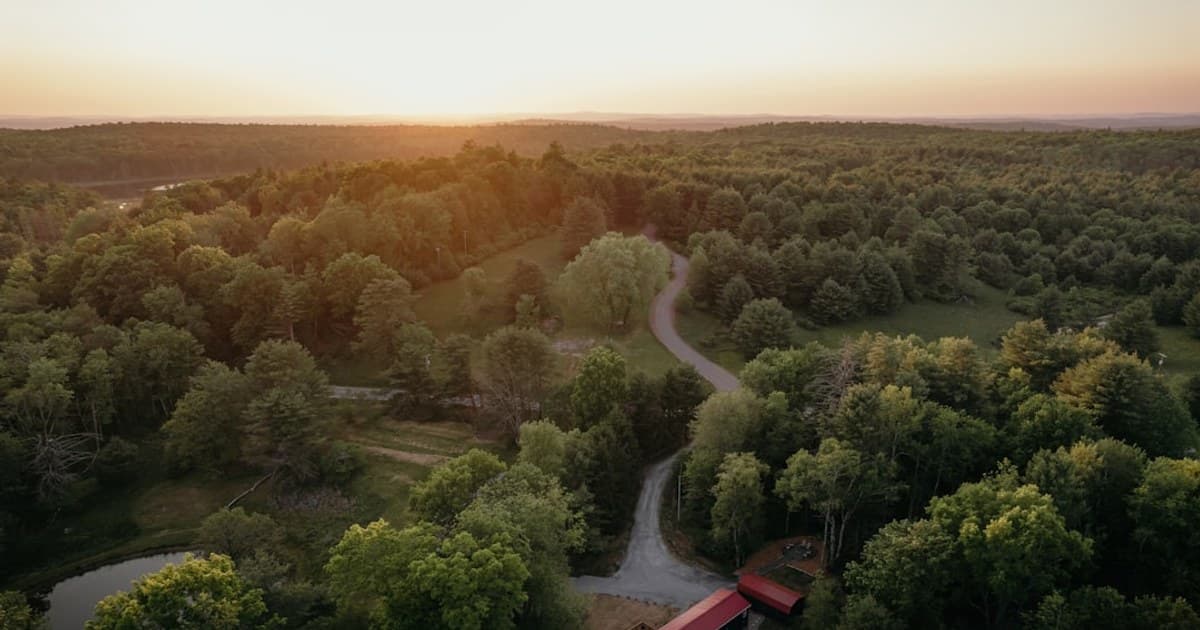 Cannabis for Sleep: Best Strains, Dosing, and the Research