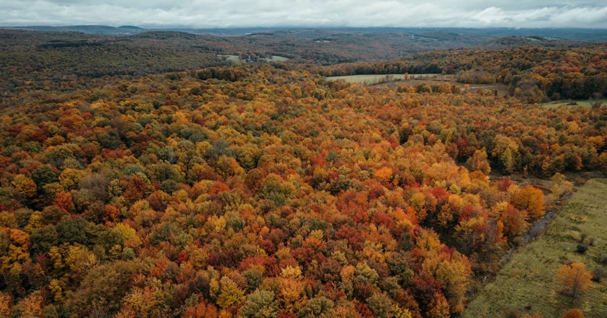 How Long Does a Cannabis High Last? Factors That Affect Duration