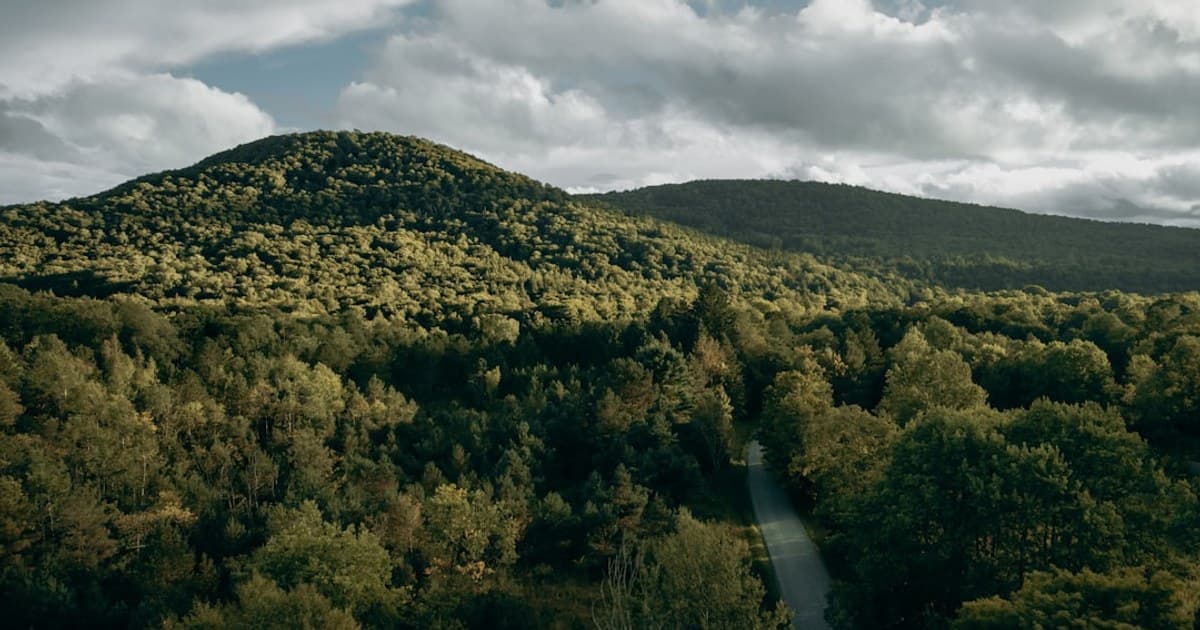 What to Do If You've Had Too Much Cannabis (Greening Out)