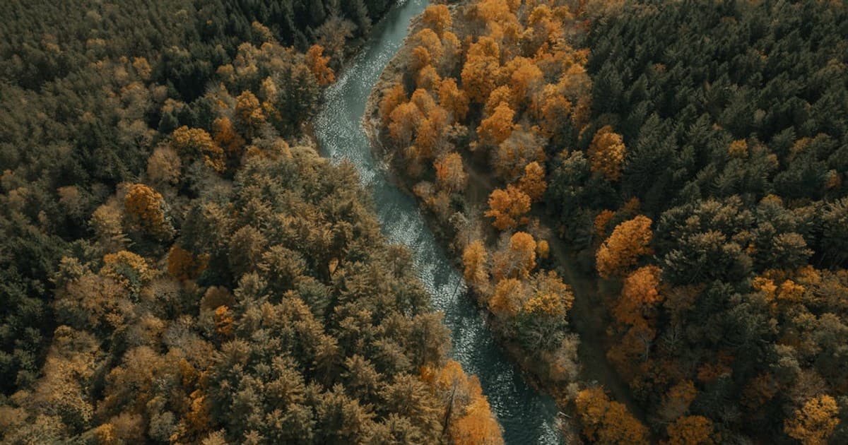 Start Low and Go Slow: The Golden Rule of Cannabis Dosing