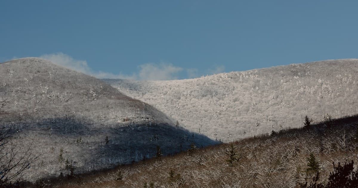 Edibles 101: How They Work, Dosing Tips, and What to Expect