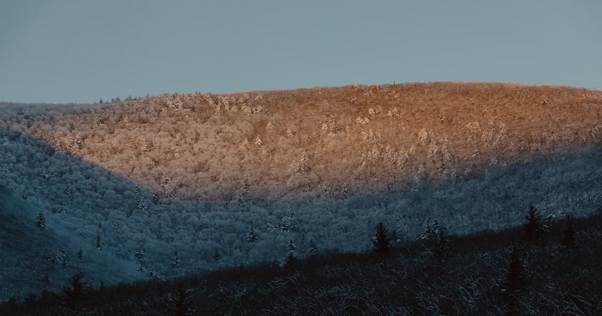 Cannabis Consumption Methods Compared: Smoking, Vaping, Edibles, and More