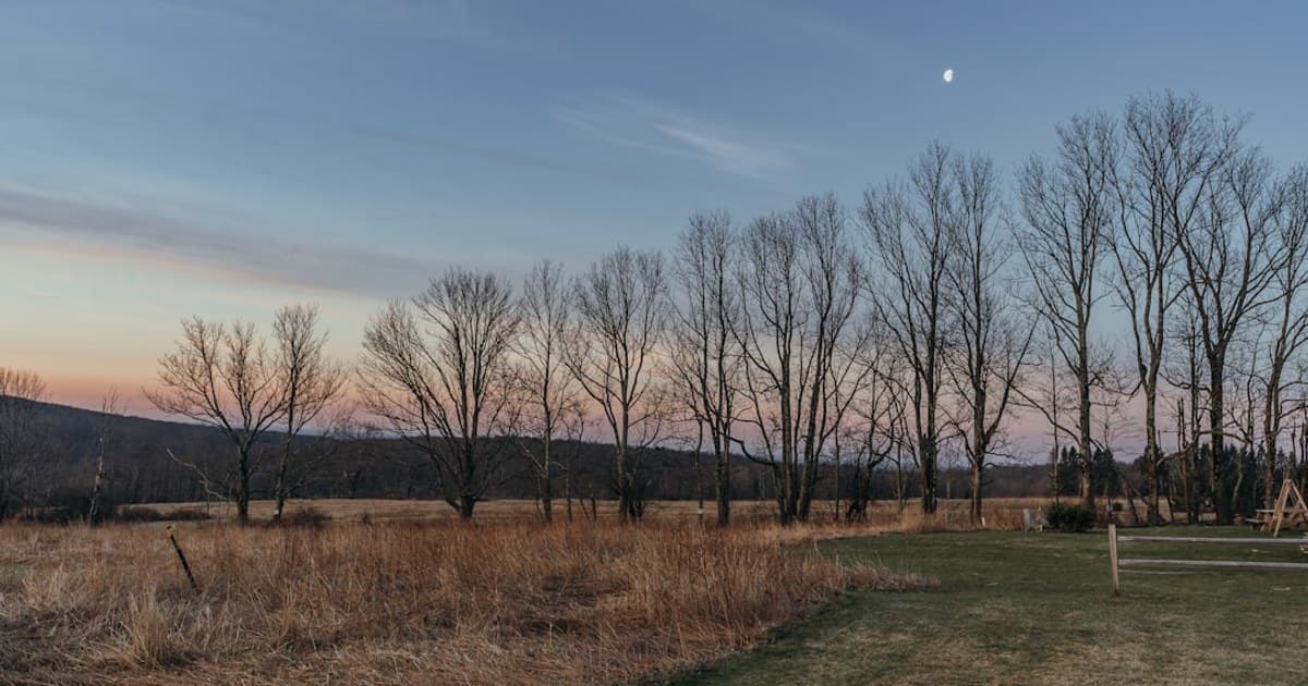 The Complete Guide to Cannabis Strains: How to Choose the Right One