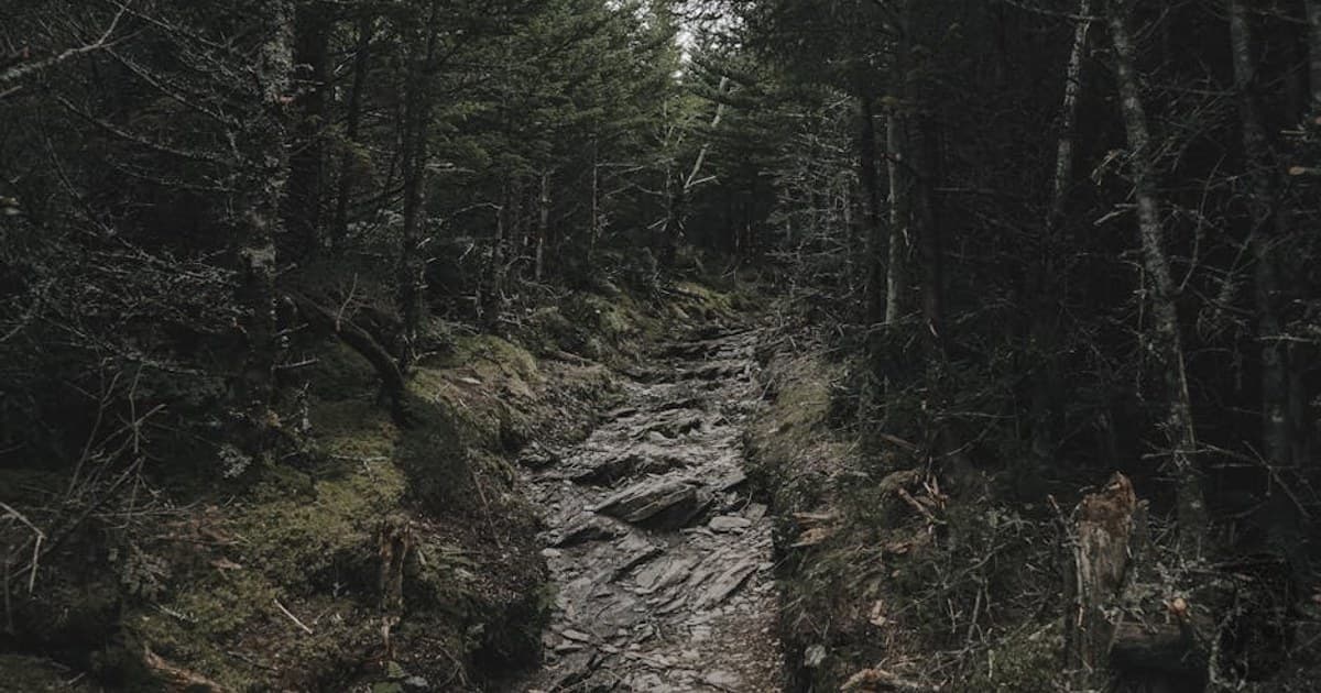 Phoenicia — The Catskills Trailhead Town That Every Weekend Routes Through