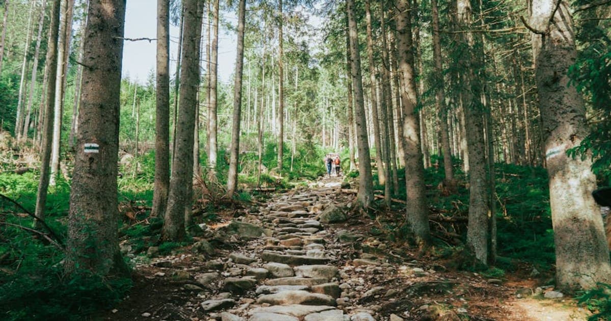 The Catskills Cannabis Gift Guide — 9 Picks for the Mountain-Bound Reader on Your List