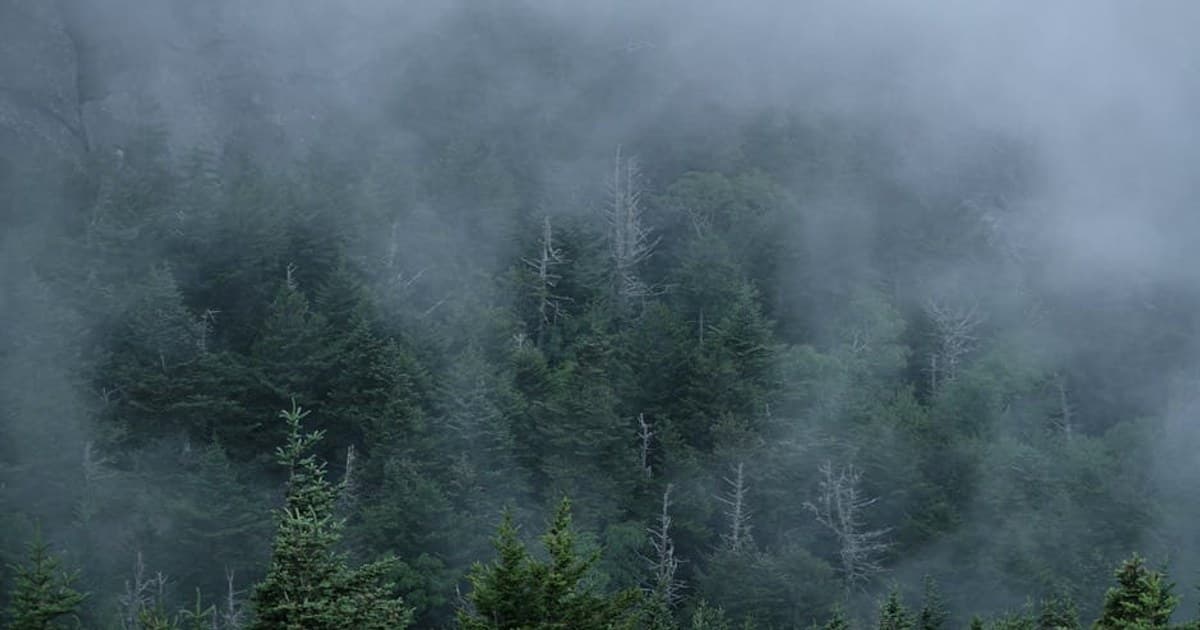 Hawk + Hive, Longyear, and the Western Catskills Galleries