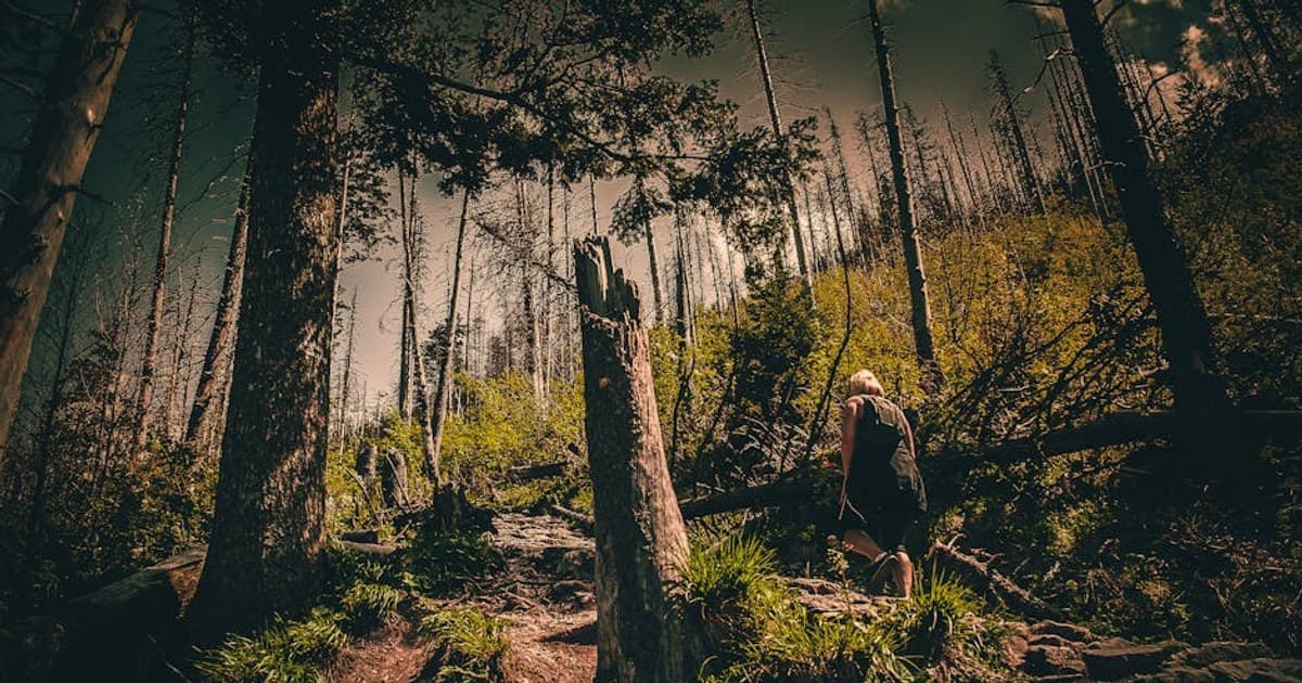 The Phoenicia Diner and the Catskills Post-Trail Breakfast Circuit