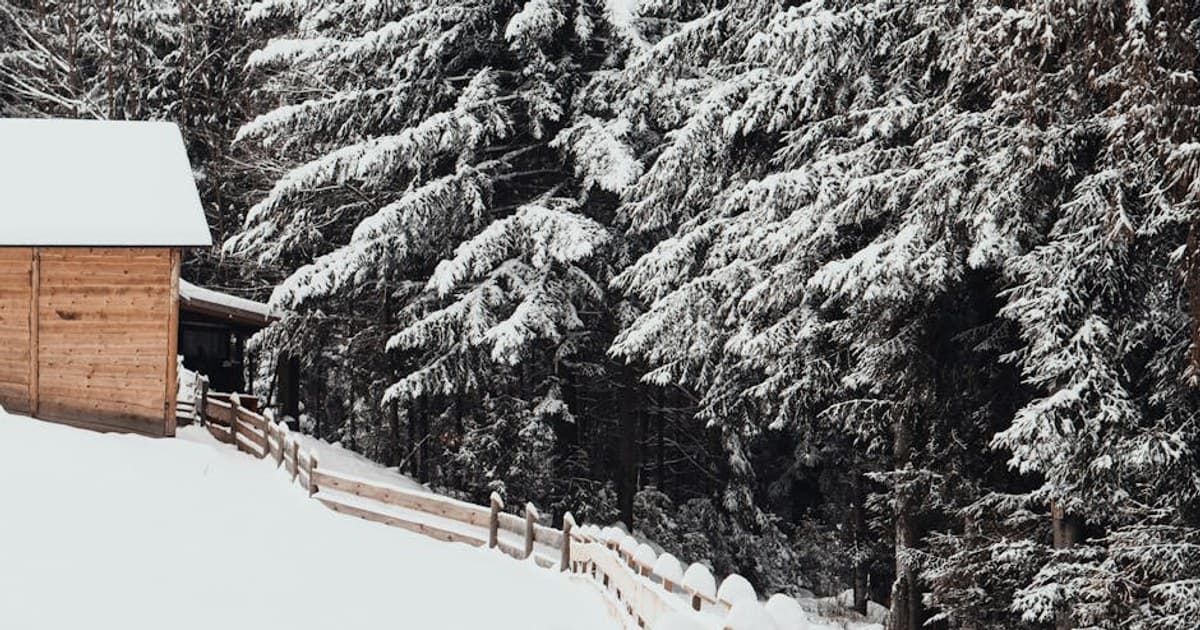 Hot-Tub-and-Hammock Cabins for a Reset Weekend