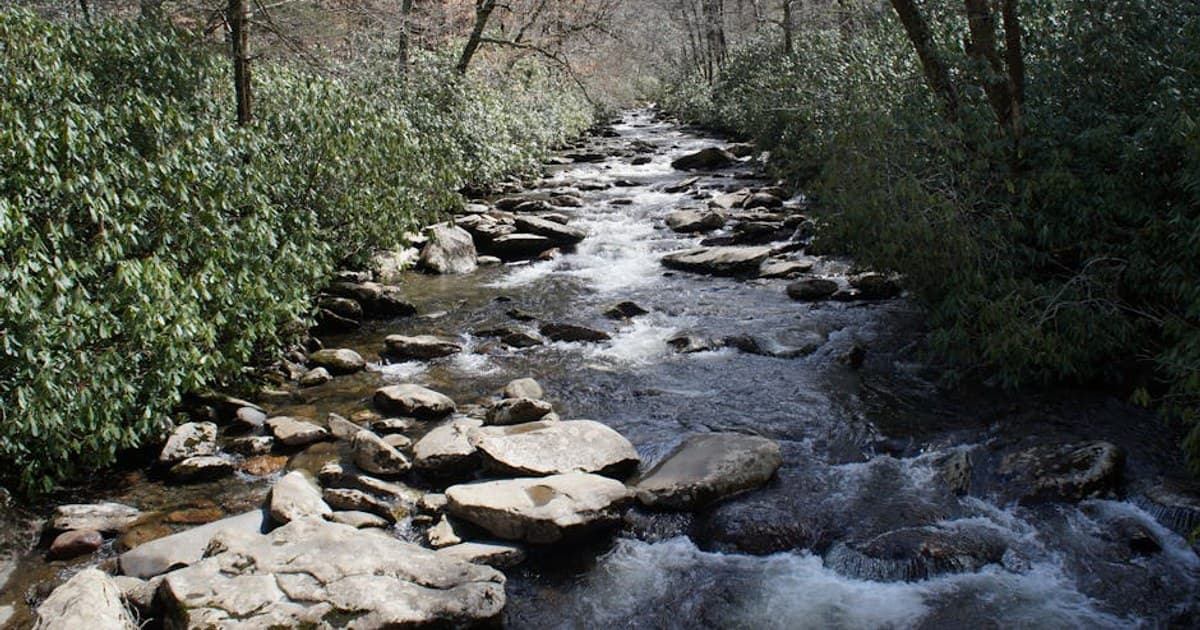 Catskills Fishing Lodges Worth Booking