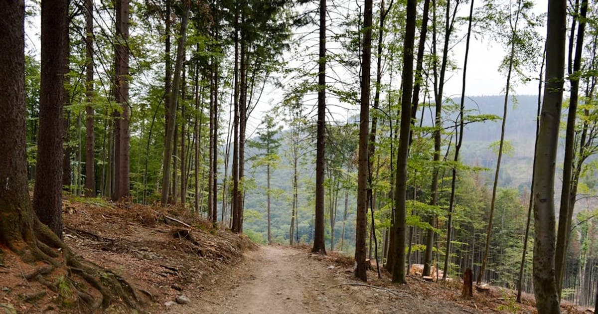 Winter Hiking the Catskills — What to Carry, Where to Go, What to Avoid