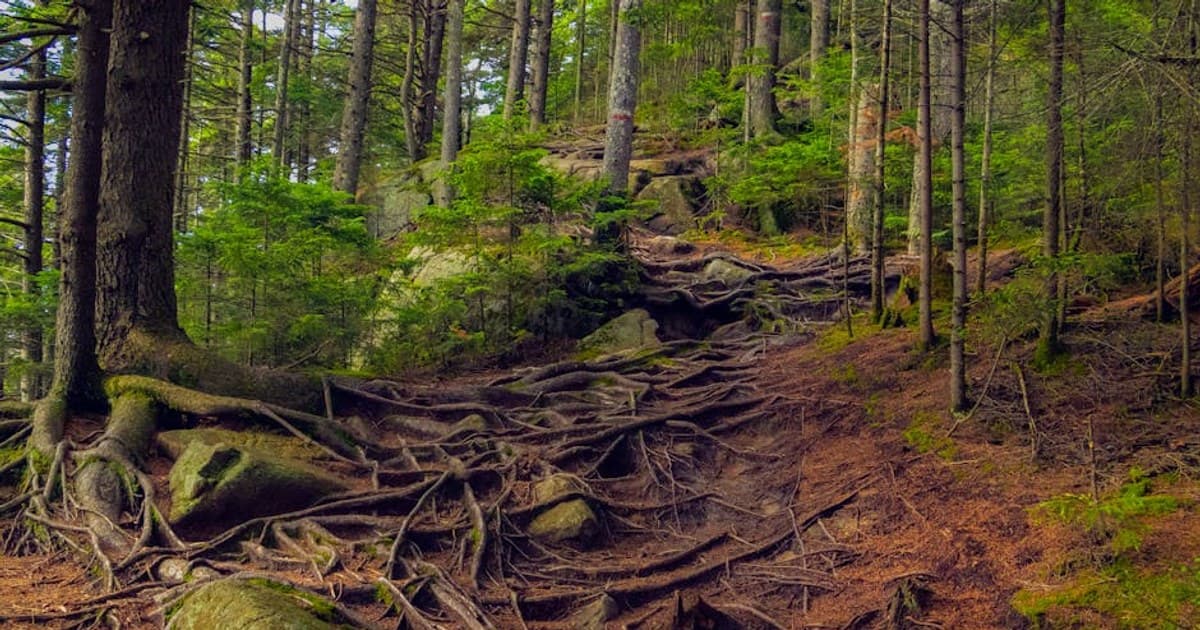 The Catskill Fire Tower Circuit — Five Peaks, Old Steel, Long Views