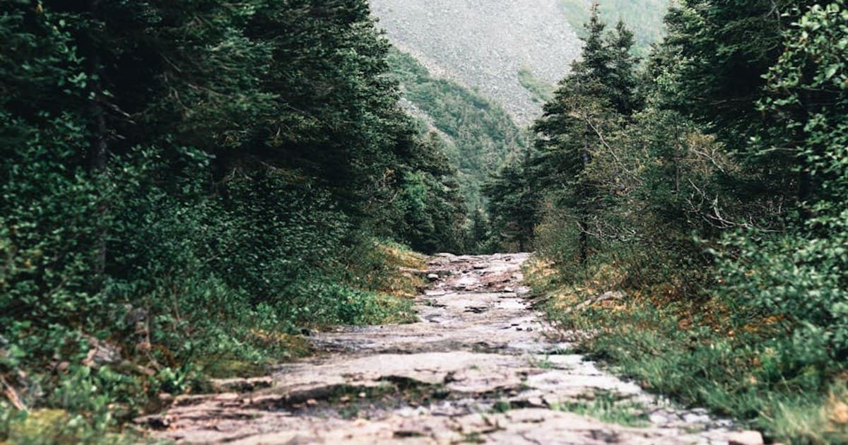 Catskill Park Trail Guide for First-Timers