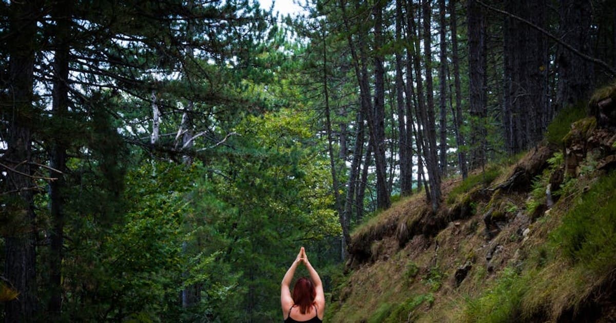 Livingston Manor — Willowemoc, Catskill Art Space, and the Small-Town Success Story