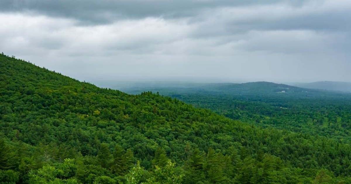 Tannersville — The Painted Village at the Foot of Kaaterskill