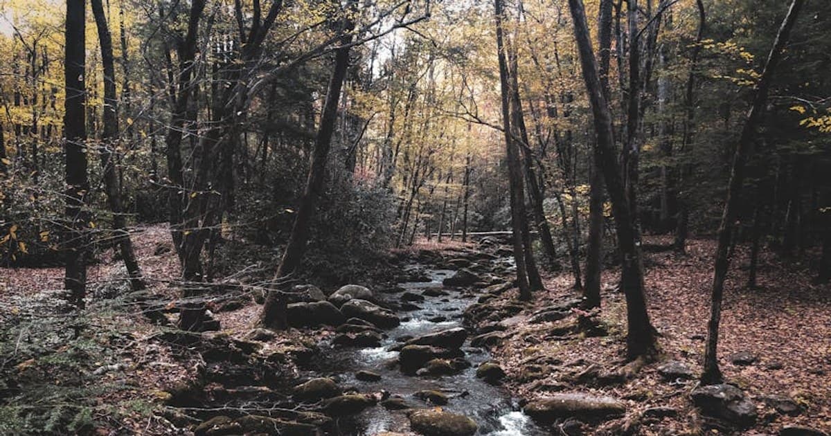 Callicoon Weekend Guide — The Delaware River Town for Slow Saturdays