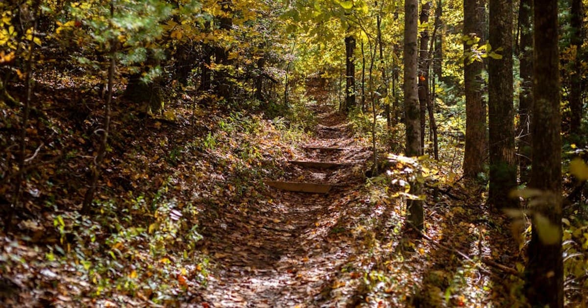 Hunter Mountain Cannabis Ski Weekend — A Practical Guide for Adults 21+