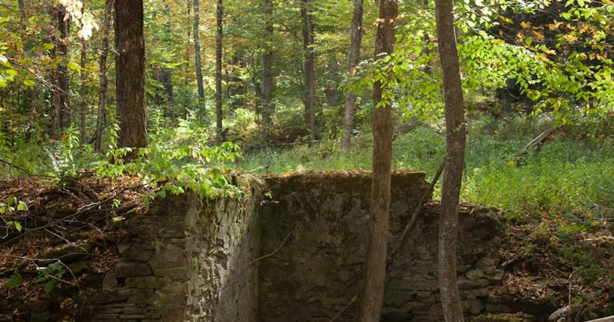 Cannabis and Sustainability: The Environmental Impact of the Industry