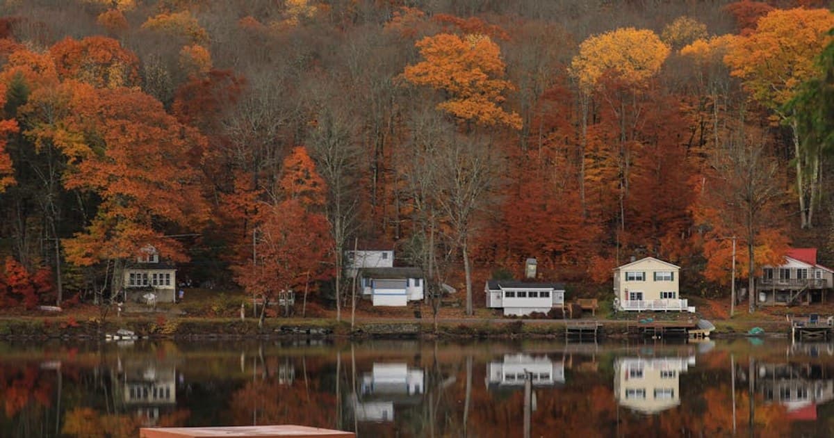 Cannabis and Epilepsy: How CBD Became an FDA-Approved Treatment