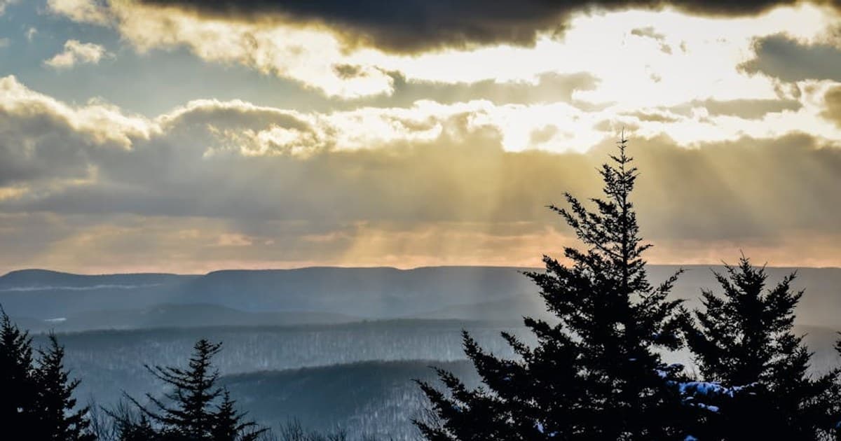 How to Choose Quality Cannabis Flower: What to Look For