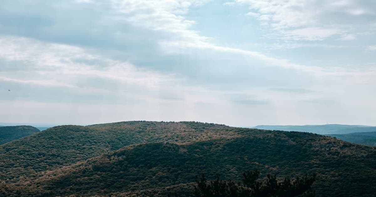 Medical vs. Recreational Dispensaries: Key Differences Explained