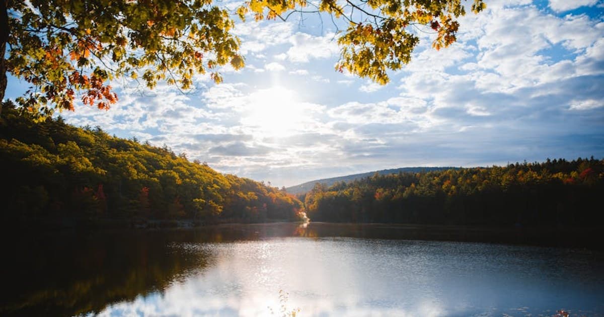 Social Equity in Cannabis: What It Means and Why It Matters