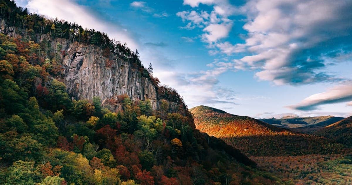 Cannabis Research: Breakthroughs and What Scientists Are Studying Now