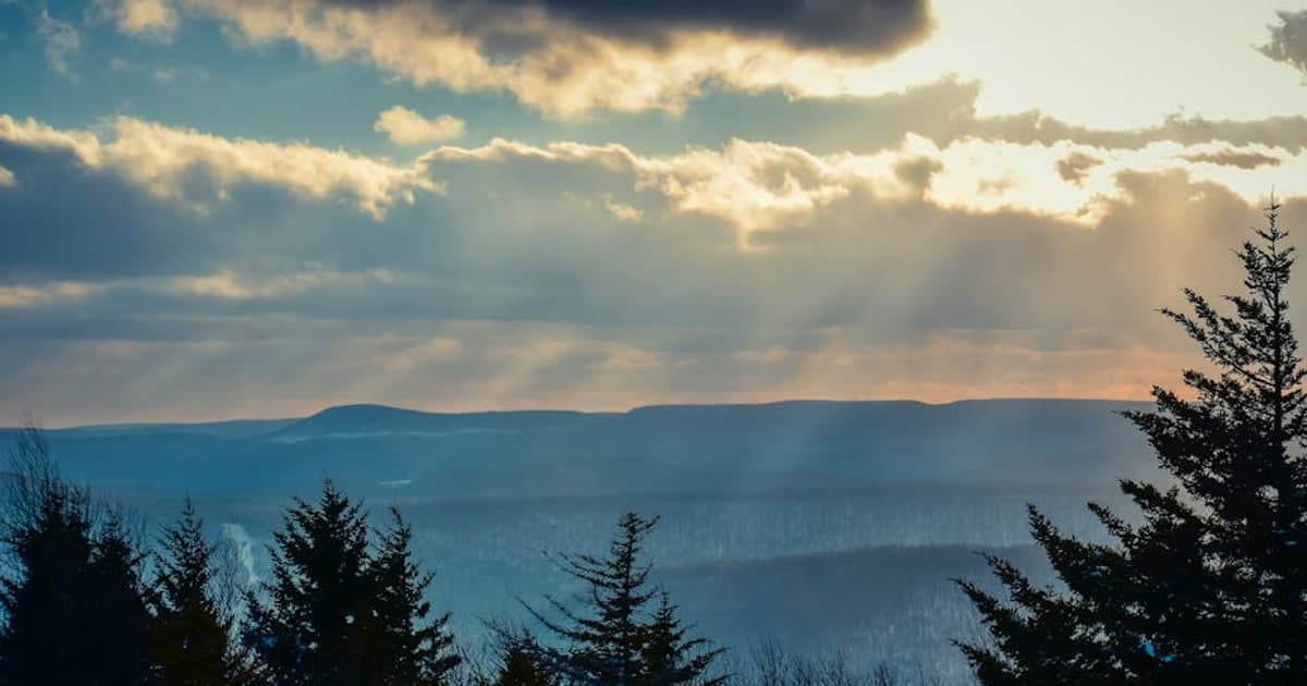 Cannabis and Weight Management: What the Research Reveals