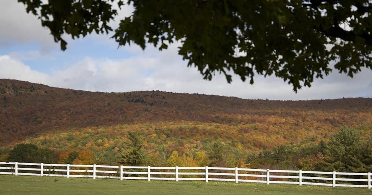 Cannabis and Exercise: Can It Help Your Workouts and Recovery?