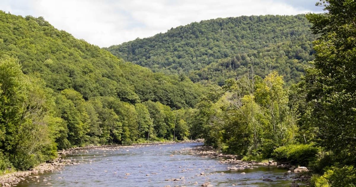 Cannabis and Nausea: Why It Works and Best Products for Relief