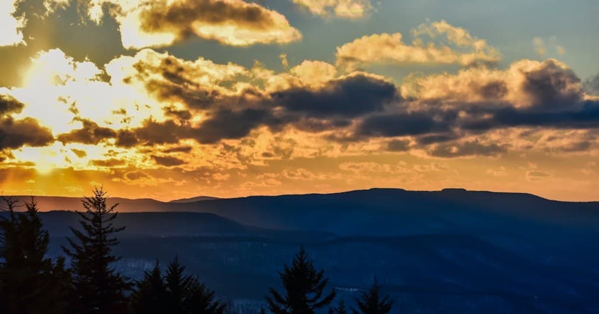 Cannabis Capsules and Softgels: A Discreet, Dose-Controlled Option