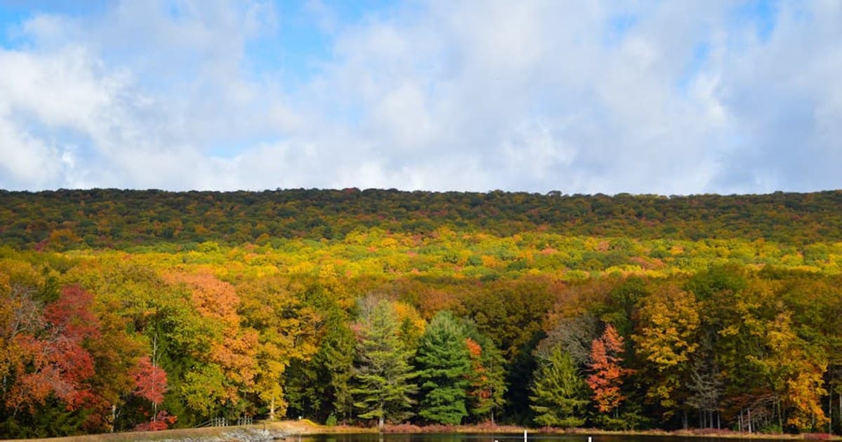 Pre-Rolls Explained: Why They're the Fastest-Growing Cannabis Category