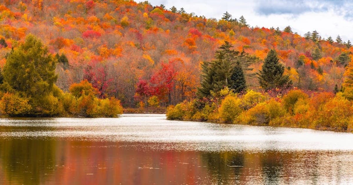 Cannabis Topicals: What They Are and How They Work for Pain and Skin Care