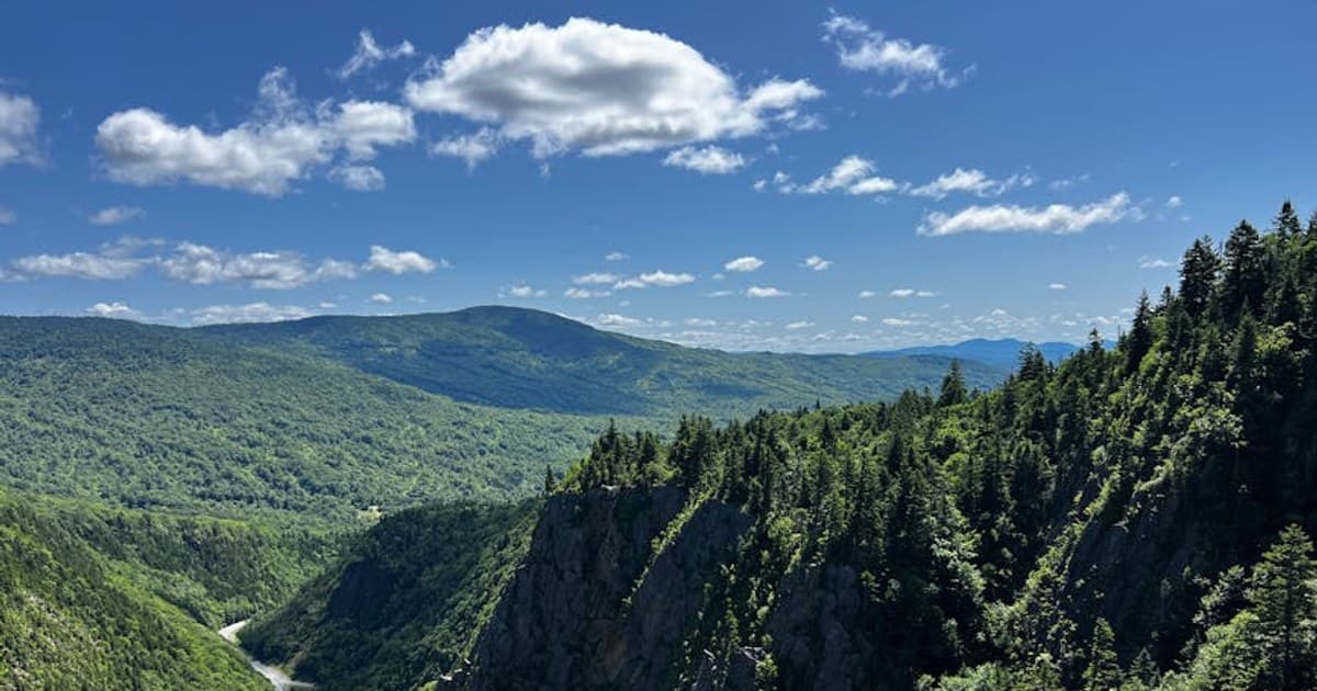 Cannabis Tinctures Explained: How to Use Them and Find the Right Dose