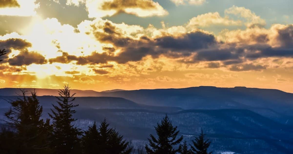 The History of Cannabis: From Ancient Medicine to Modern Legalization