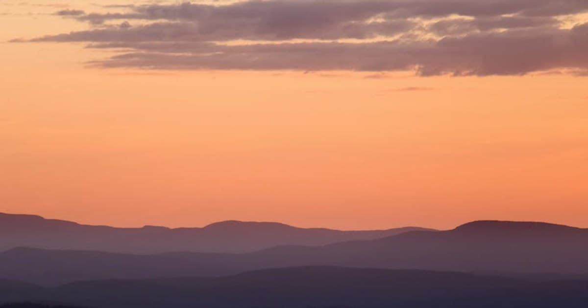 Cannabis Terminology 101: A Glossary of Terms Every Consumer Should Know