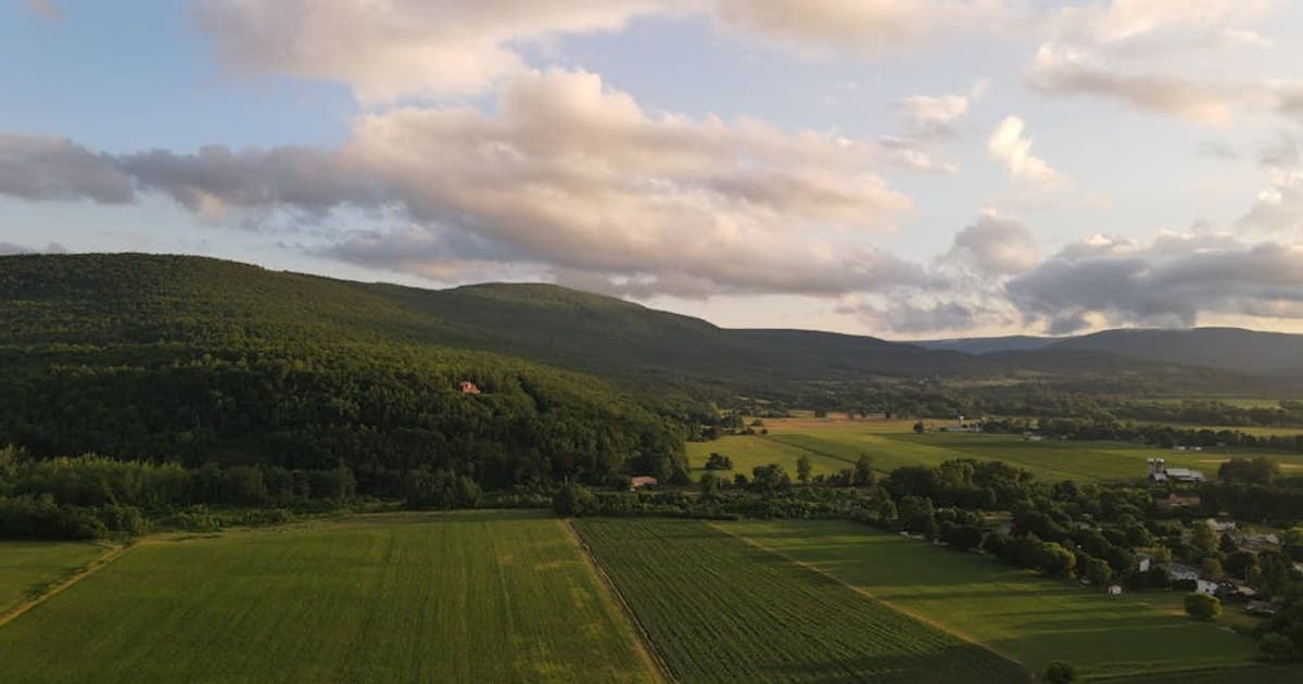 Cannabis Tolerance Breaks: What They Are and How to Take One