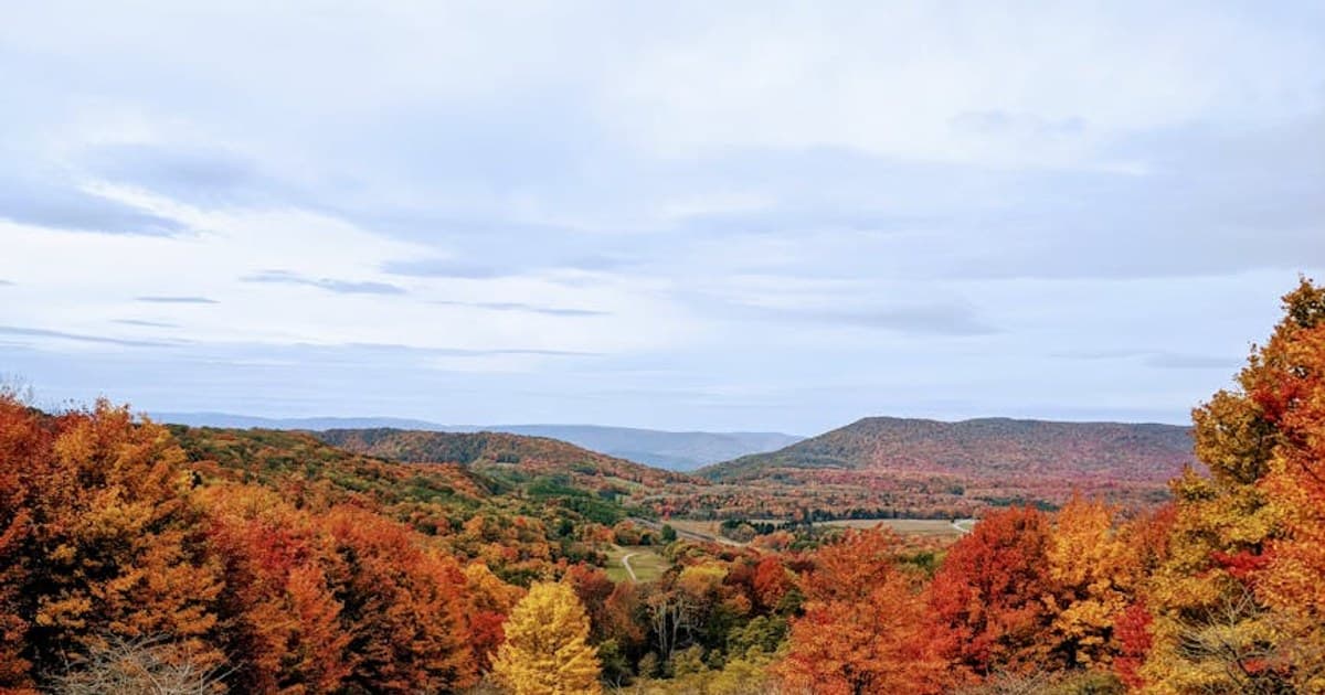 CBN for Sleep: Is It the Next Big Cannabinoid?