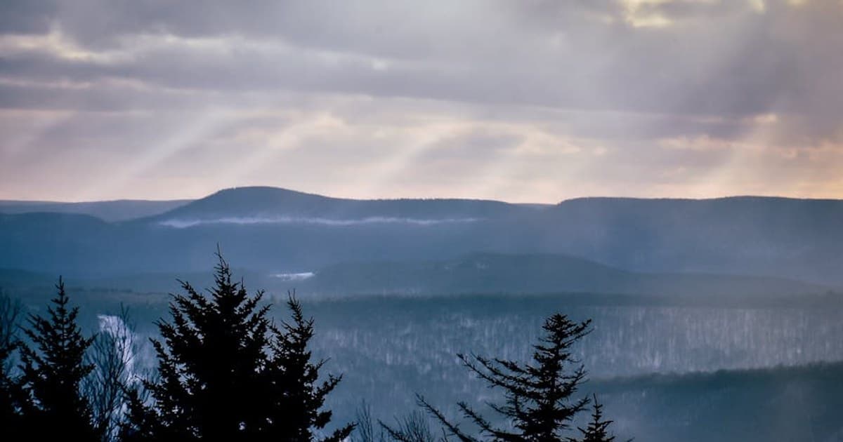 Cannabis for PTSD: Current Research and Patient Experiences