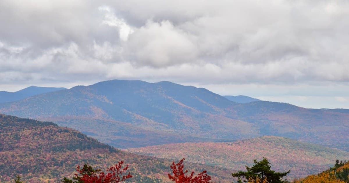 Is Cannabis Addictive? Understanding Cannabis Use Disorder