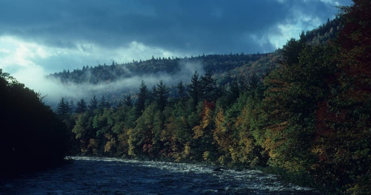 How to Read a Cannabis Product Label: Lab Results, Potency, and More