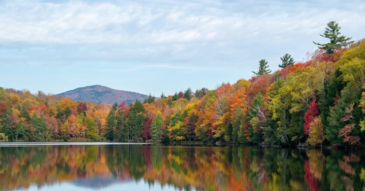 Cannabis and Drug Interactions: What to Know If You Take Medication