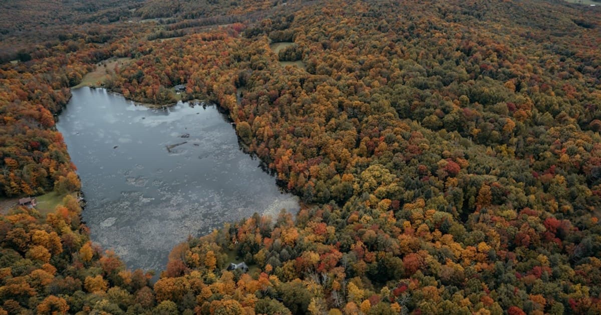 Catskill Mountains in the fall 3/6 (IG: @clay.banks